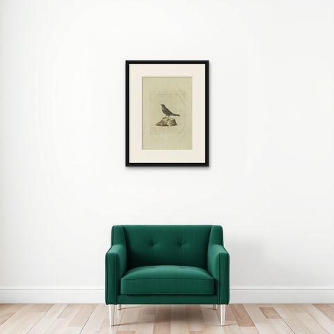 Antique Bird Print of a Small Alpine Bird by Sepp & Nozeman, 1829, shown framed on a wall