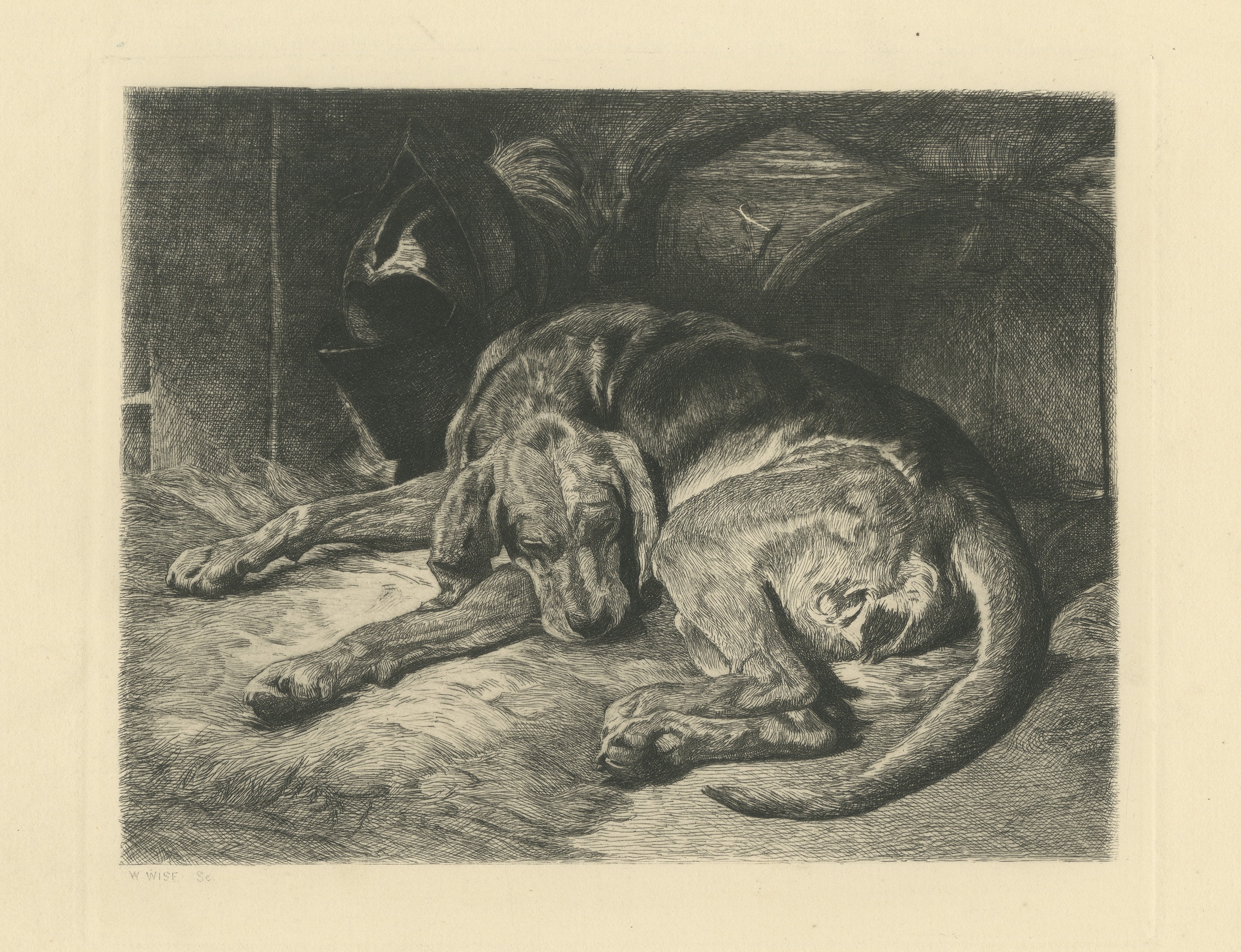 Sleeping Hound with a Plumed Helmet, Antique Etching by W. Wise, circa 1880