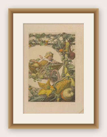 Antique Botany Print of Pumpkin Plants, 1890, shown framed