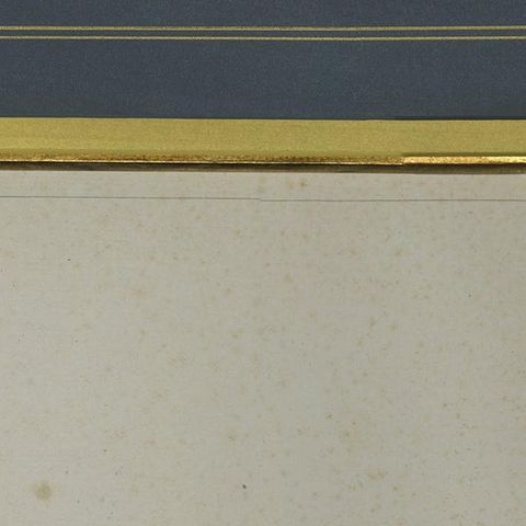 Antique Print of an Egyptian Goose by Miger 'c.1808', close-up 1