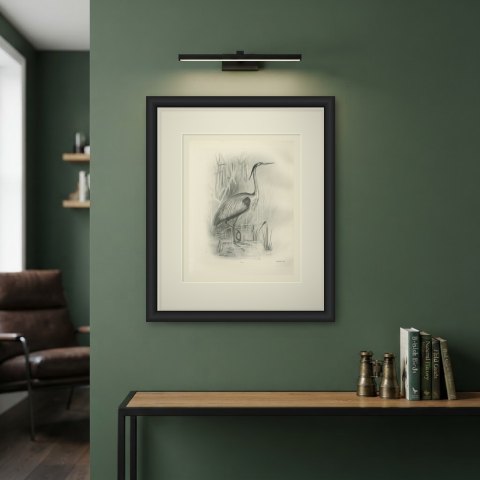 Purple Heron Wading Among Reeds, Plate CLI after Lilian Medland, c. 1909, shown framed on a wall