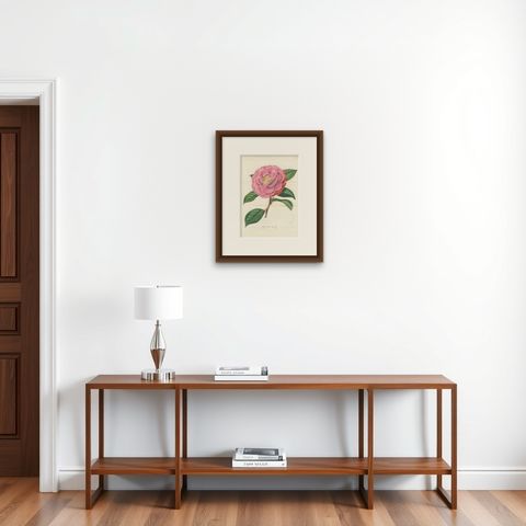 Double Flowering Camellia: Hand-Colored Lithograph from Louis van Houtte, 1855, shown framed on a wall
