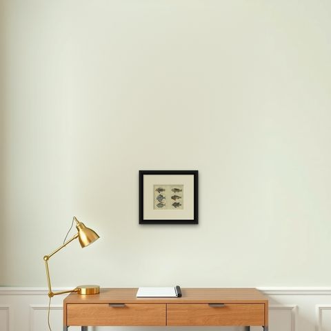 Set of 2 Antique Fish Prints - Lionfish - Ponyfish - Scorpion Fish, shown framed on a wall