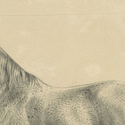 Antique Arabian Horse Lithograph “Burnu” by August Jäger, 1846, close-up 6