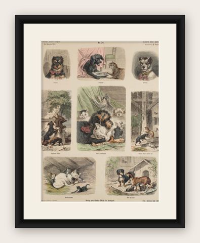 Antique Print of Cats and Dogs, Hand-Colored German Wood Engraving, c.1909, shown framed