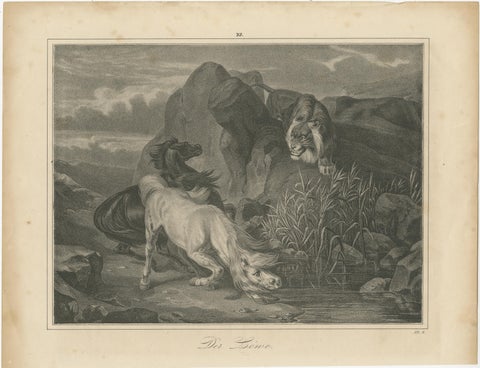 Original Antique Print of Lion Sneaking Up on Horses, view 2
