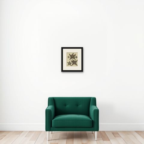 Antique Handcolored Engraving of Starfish and Marine Creatures, c.1800, shown framed on a wall