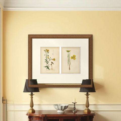 Native US Flora - Two Original Botanical Chromolithograps, 1879, shown framed on a wall
