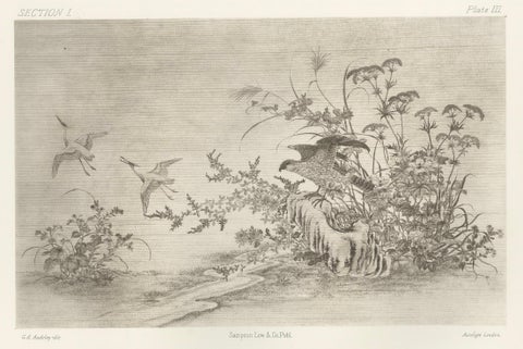 Japanese Nature Scene Prints: Delicate 19th-Century Botanical & Bird Etchings, close-up 2