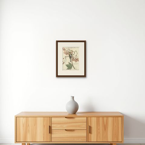 Engraving of The American Tit Bird with Yellow Throat in Old Handcoloring, 1749, shown framed on a wall