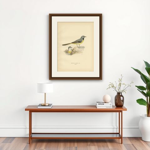 Antique Bird Print of the Grey Wagtail by Von Wright, 1927, shown framed on a wall