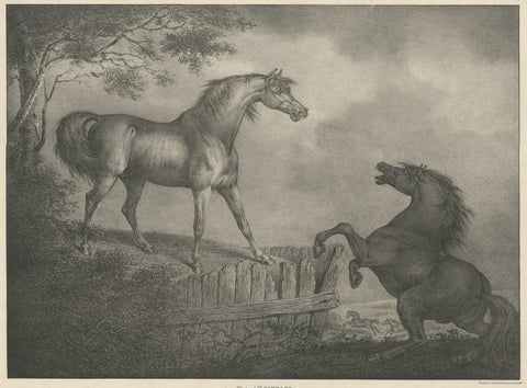Original Antique Lithograph of a Horse Showing the Passion 'Courage', 1827, close-up 1