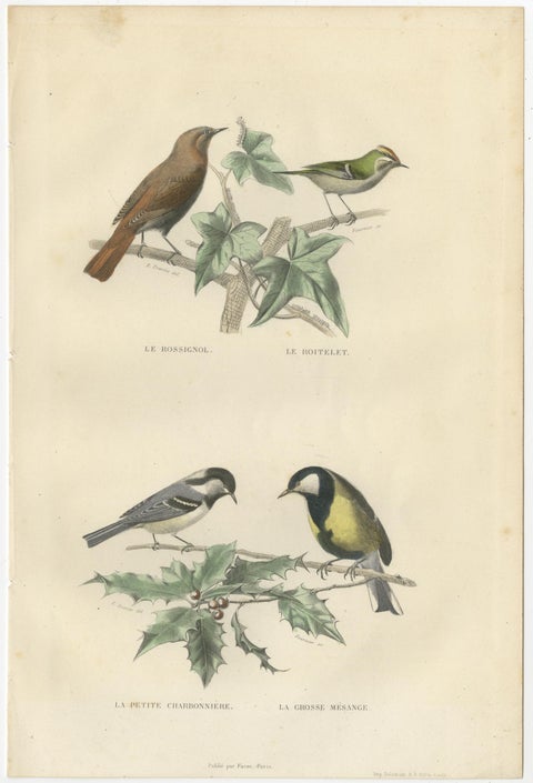 Set of 2 Antique Bird Prints Rave, Western Jackdaw, Nightingale by Buffon, view 3