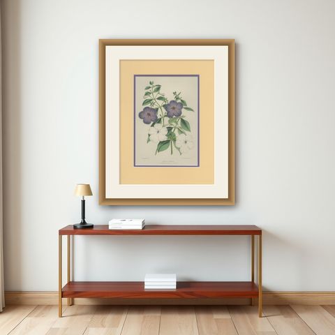 Botanical Beauty: Antique Print of Achimenes Longiflora from 1850, shown framed on a wall