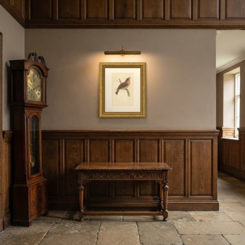 Parrot Crossbill on a Broken Branch, Antique Bird Print, Morris, 1896, shown framed in a room