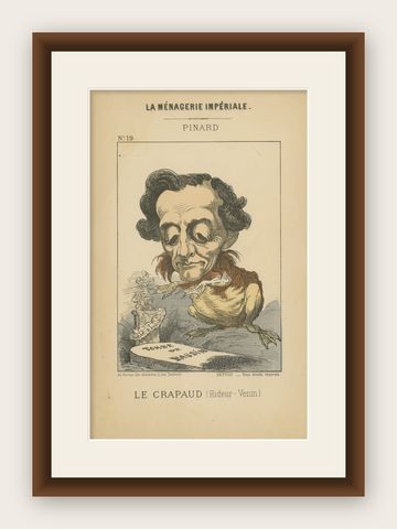 Imperial Menagerie: Pinard - The Toad (Ugliness - Venom), 1870, shown framed