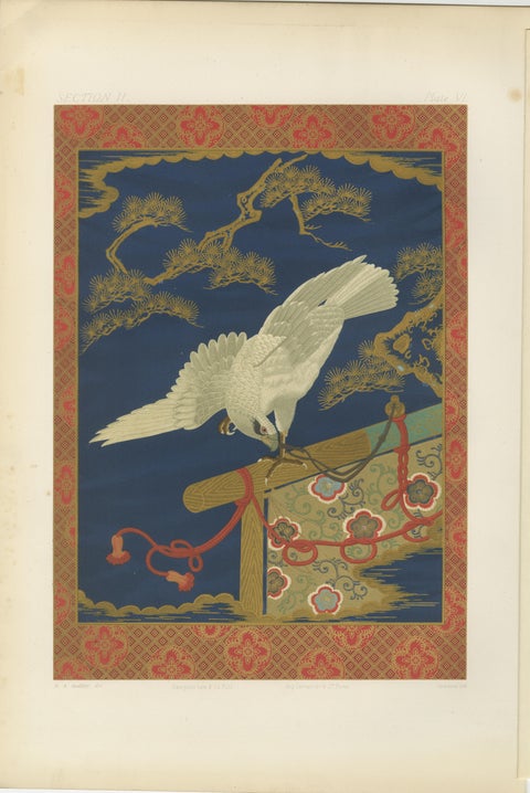 Japanese White Hawk on Pine Branch: Antique Lithograph, 1880s, view 2