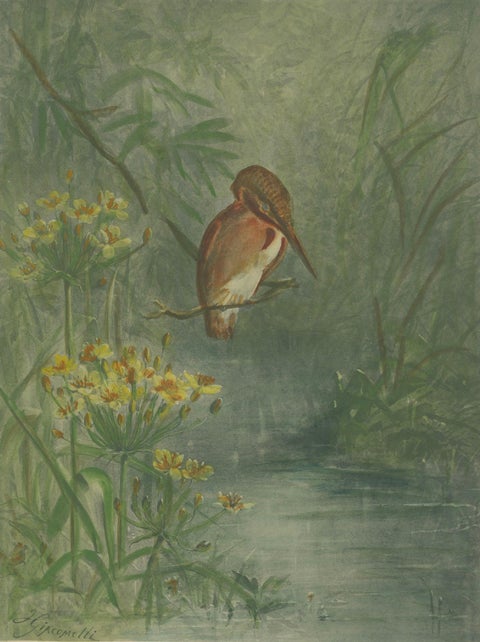 Kingfisher by the Water's Edge - Giacomelli’s Tranquil Nature Scene, Circa 1891, close-up 3