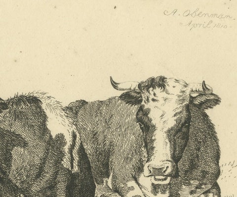 Tranquil Pastoral Scene with Two Resting Cows, by Anthony Oberman in 1810, close-up 1