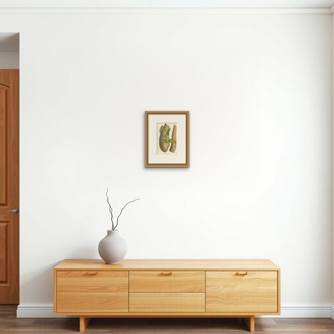 Botanical Illustration of Chinese Yam: Dioscorea Batatas, c.1855, shown framed on a wall