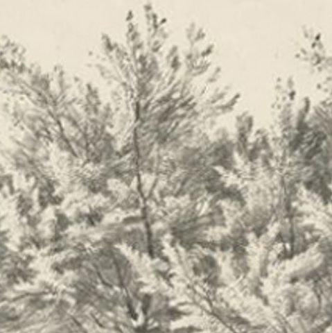 Antique Print of Cattle by Cooper, circa 1839, close-up 1