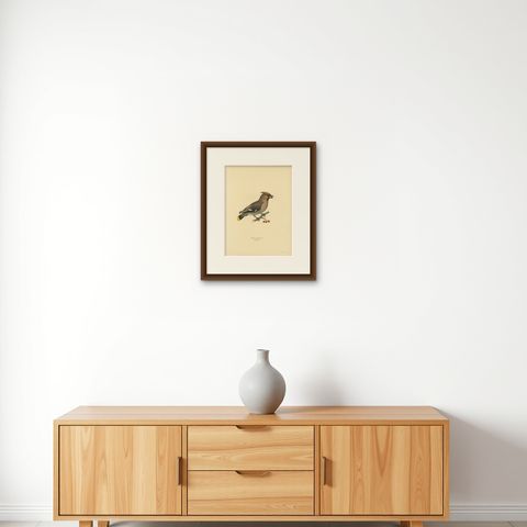 Bohemian Waxwing with Berries, Swedish Bird Lithograph, 1929, shown framed on a wall