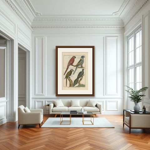 Beautiful, Richly Colored, Copper Engraving of Parrots and Parakeets '1792', shown framed in a room