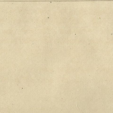 Original Antique Print of a Bison, close-up 1