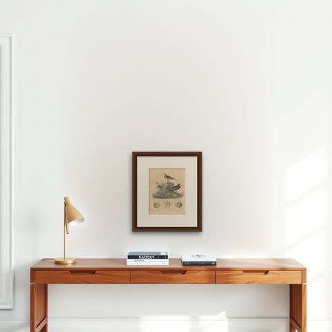 Antique Bird Print of Sanderlings, 1847, shown framed on a wall