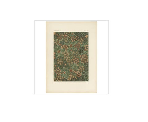 Antique Chromolithograph of Japanese Cloisonné Enamel, Floral Jar Surface, 1882, view 4