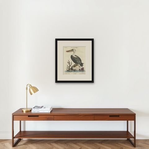 Hand-Colored Engraving of the American Pelican by Seligman, c.1770, shown framed on a wall