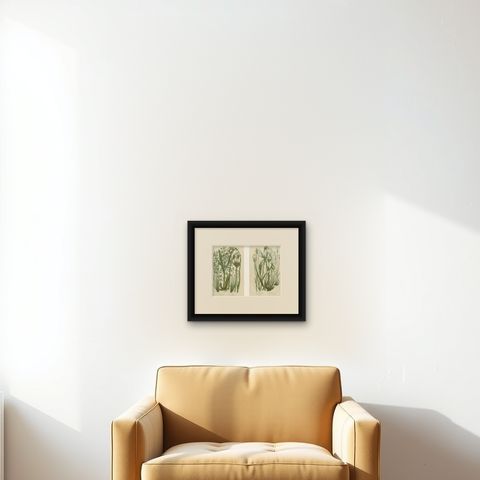Common Wall Spleenwort Ferns, Victorian Botanical Prints, 1873 Pair, shown framed on a wall