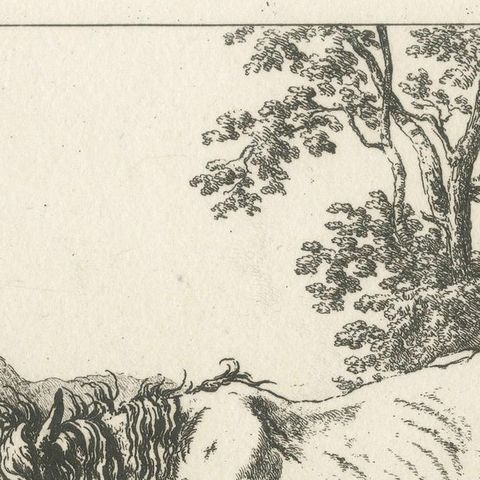 Rustic Farm Horse Study, English Animal Etching by Robert Hills, 1801, close-up 4