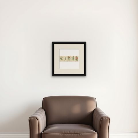 1897 Vibrant Botanical Prints, Libonia, Myoporum, Lantana, Vervain and Verbena, shown framed on a wall