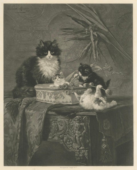 "Motherly Watch" - Cats and Kittens by Henriette Ronner (1894), close-up 5