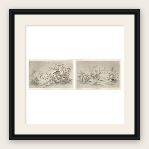 Japanese Nature Scene Prints: Delicate 19th-Century Botanical & Bird Etchings, shown framed