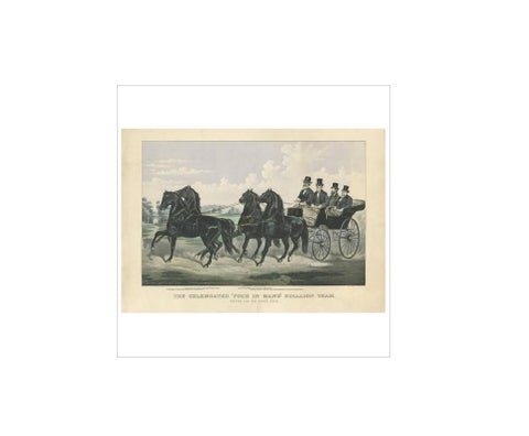 Antique Horse Print of the 'Four in Hand' Stallion Team, 1875, view 3