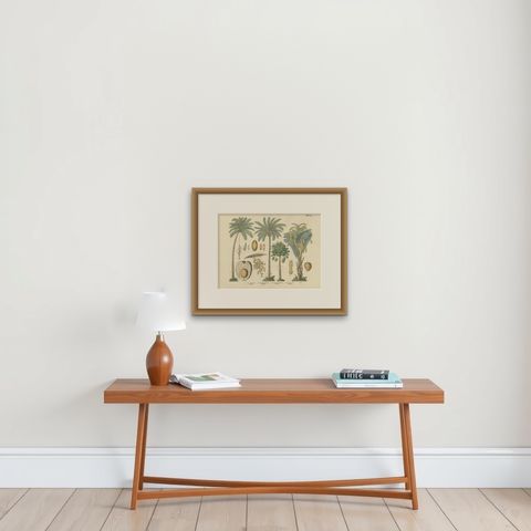 Antique Palm Tree Botanical Print, Exotic Tropical Plate, German Atlas 1885, shown framed on a wall