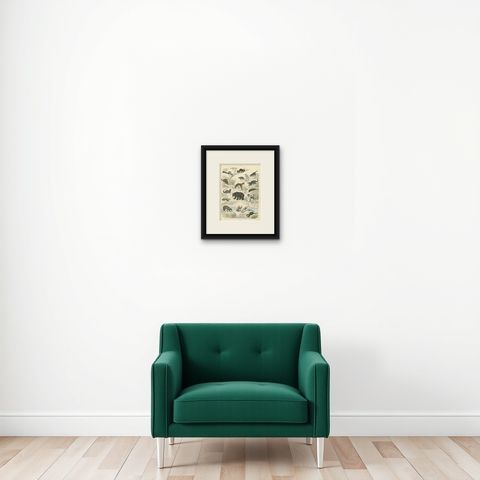 Mammals Print: Bears, Fox, Otter & Skunk, Antique Hand-Coloured 1867, shown framed on a wall