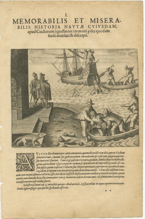 Exotic Encounters: Giant Crabs, Tortoises, Whales, and Cockfights - De Bry, 1598, view 2