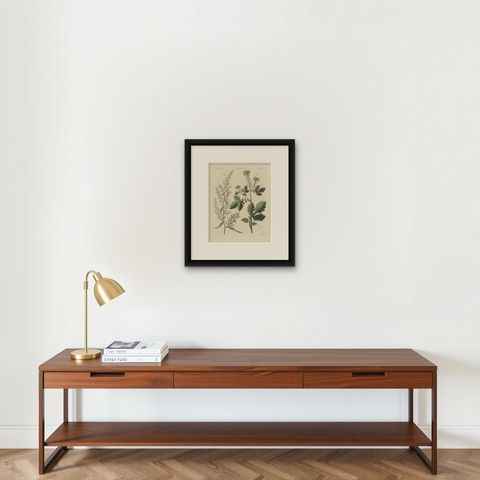 Yellow Crucifer and Slender Flowering Herb, Antique Bertuch Print, circa 1805, shown framed on a wall