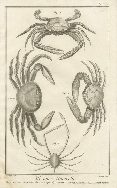 Pair of Antique Engravings of Crabs - Diderot & d’Alembert’s Encyclopédie, 1770, close-up 1