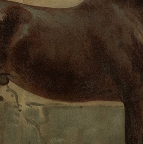 Antique Lithograph Print of East Prussian Horse, 1898, Good Condition, close-up 2
