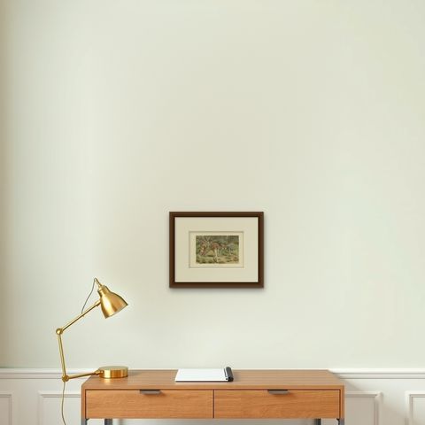 Red Kangaroo, Antique Australian Wildlife Chromolithograph, 1894, shown framed on a wall