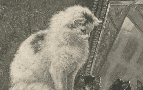 "Curiosity Reflected" - Cats and Kittens by Henriette Ronner (1894), close-up 2