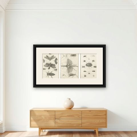 Set of Three Antique Engravings of Insects from Diderot’s Encyclopédie, ca. 1770, shown framed on a wall