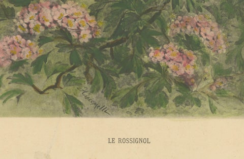 The Nightingale's Song - Giacomelli’s Floral and Avian Art, Circa 1891, close-up 1
