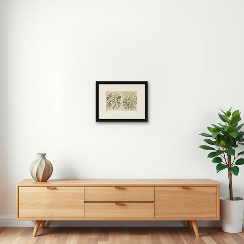 Victorian Moth Illustrations by William Forsell Kirby, 1882, shown framed on a wall