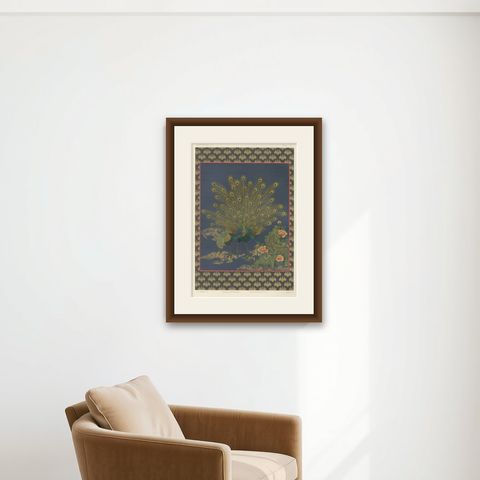 Japanese Peacocks in Full Plumage: Antique Lithograph, 1880s, shown framed on a wall