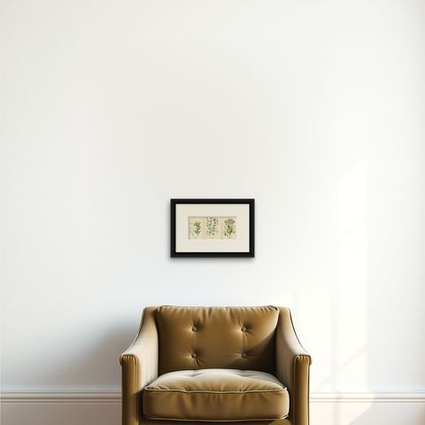 Antique Botanical Prints: Bouvardia Longiflora, Crossworts & Large Spur Valerian, shown framed on a wall